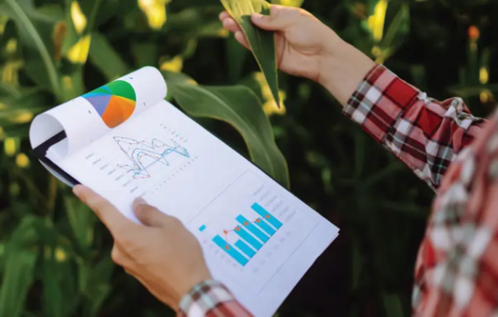 Microsoft Fabric İndir